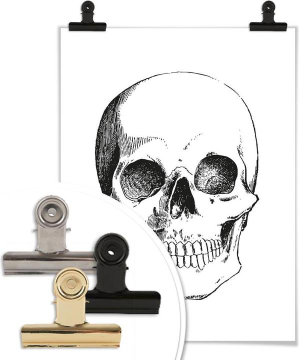 Produktbild Trenddeko Human Skull (80 x 60 cm)