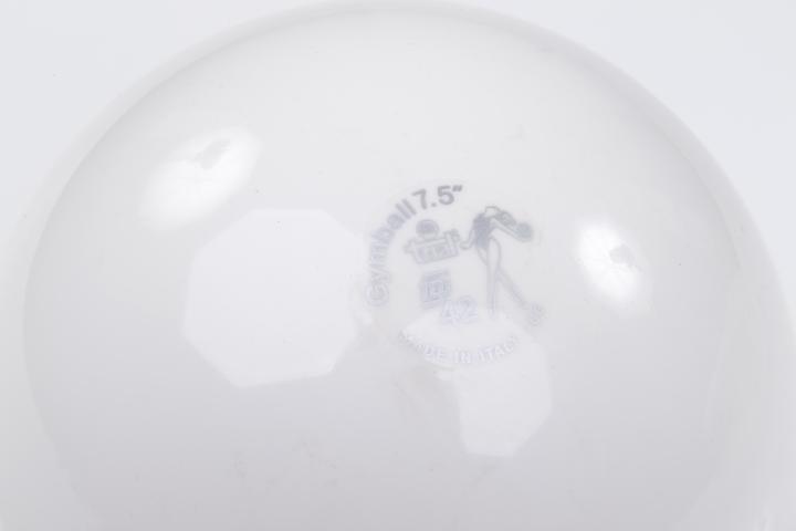 Immagine prodotto Trial ® Gymnastikball