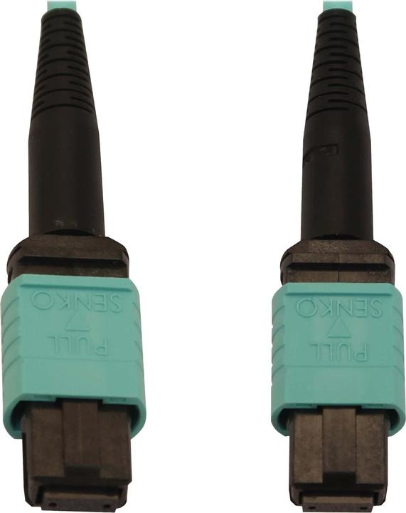Actual product image Eaton 40/100/400G Multimode 50/125 OM3 Fibre Optic Cable 12F MTP/MPO-PC F/F LSZH Aqua 3m 9 (3 m)