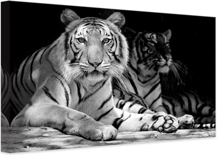 Immagine prodotto Trenddeko Due tigri reali del Bengala (120 x 80 cm)