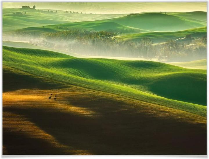 Immagine prodotto Trenddeko Browko - Prati Verdi (60 x 50 cm)