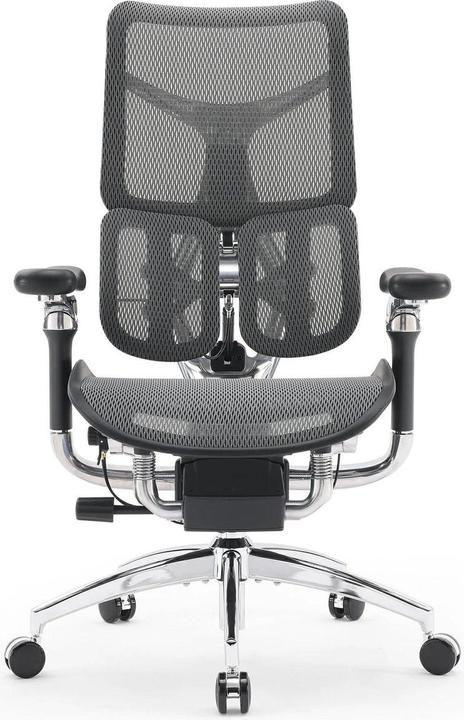 Actual product image Sihoo Doro S300