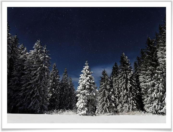 Produktbild Trenddeko Winterwald (30 x 24 cm)