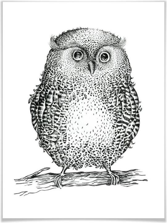 Produktbild Trenddeko Kvilis - Eule 02 (40 x 50 cm)