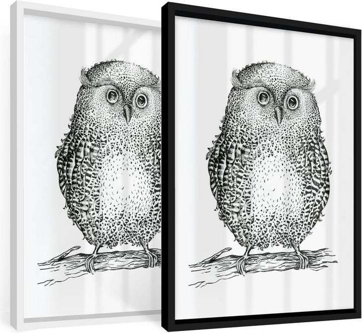 Produktbild Trenddeko Kvilis - Eule 02 (40 x 50 cm)