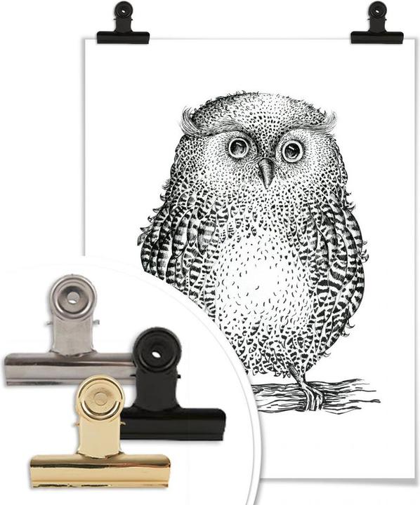 Produktbild Trenddeko Kvilis - Eule 02 (40 x 50 cm)