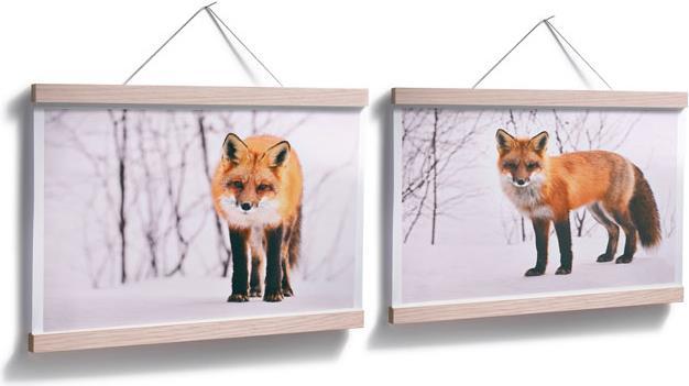 Immagine prodotto Trenddeko Volpe nella neve - 2 pezzi (30 x 24 cm)