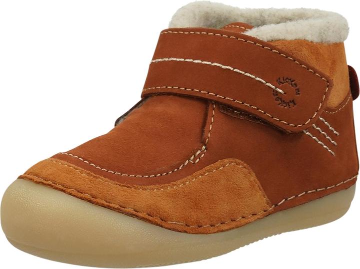 Camel 114