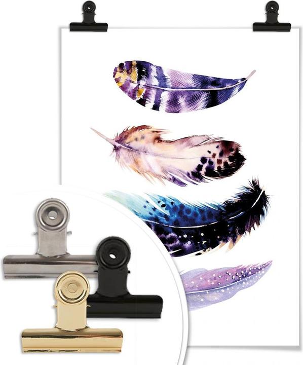 Immagine prodotto Trenddeko Molle 01 (50 x 60 cm)