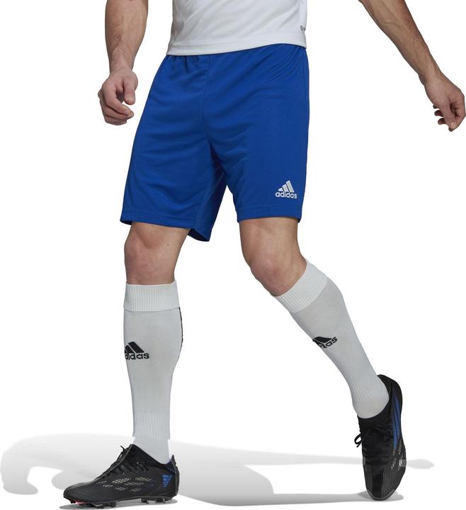 Produktbild adidas Entrada 22 Shorts Herren (XL)