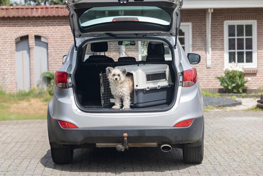 Actual product image Karlie Nomad transport box (Dog, Cat, Lockable)