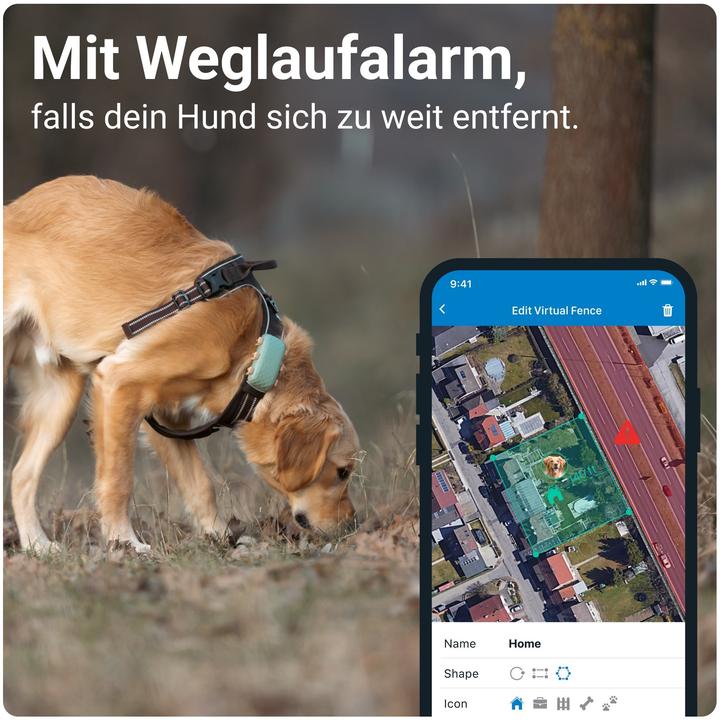Actual product image Tractive DOG XL GPS Tracker for Dogs (Dog, General)