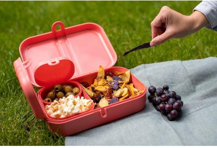 Produktbild Koziol Lunchbox Pascal Ready 4-teilig, Sand