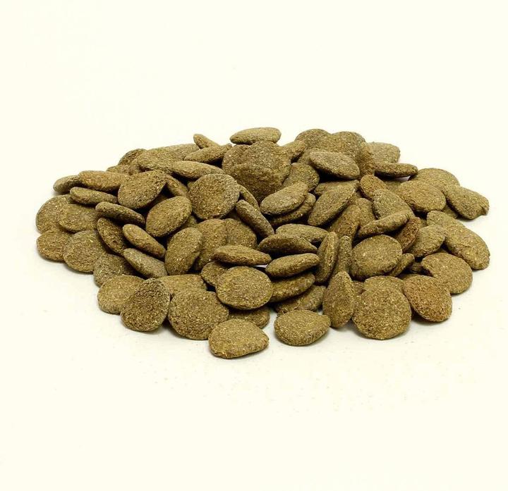 Actual product image JBL Aquaristik und Terraristik ProNovo PLECO WAFER XL 5,5l (Catfish, 5500 ml)