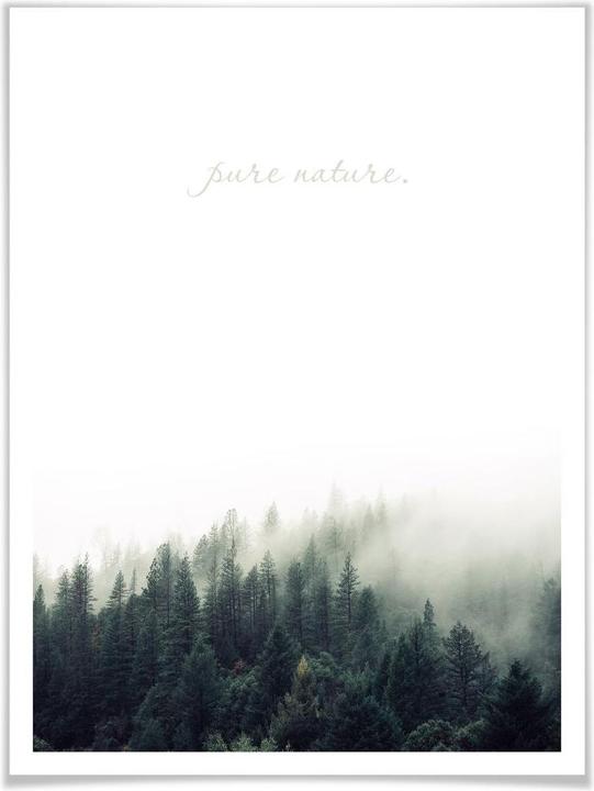 Image du produit Trenddeko avec Pure Nature (24 x 30 cm)