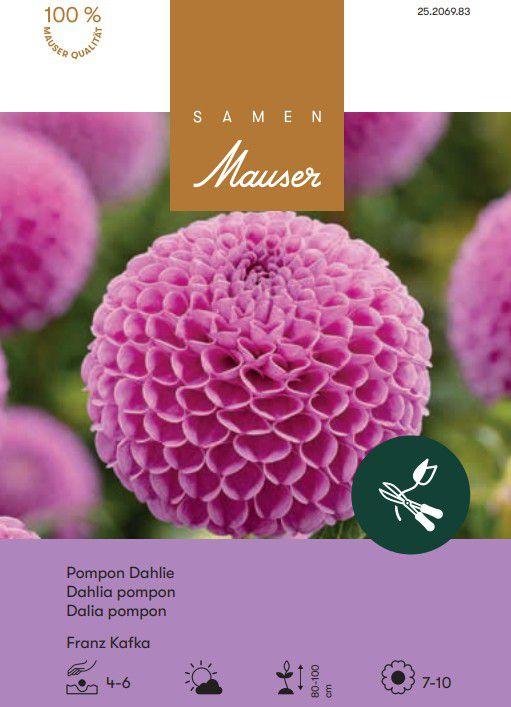 Produktbild Samen Mauser Ball-Dahlie Franz Kafka (Blumenzwiebel)
