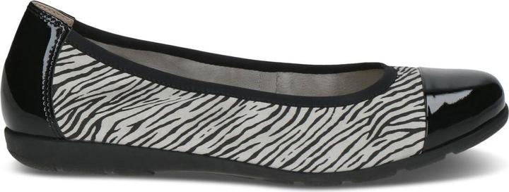 Black zebra