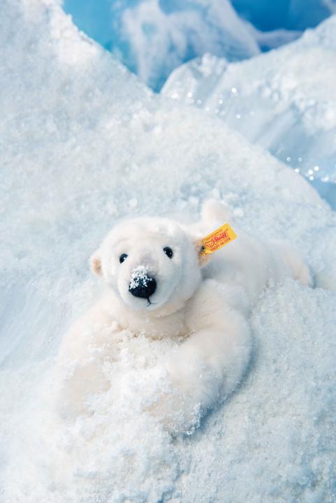 Actual product image Steiff Nanouk polar bear white 33cm (33 cm)