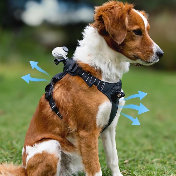 Produktbild Insta360 Pet Harness Mount (Insta360 Go 3)