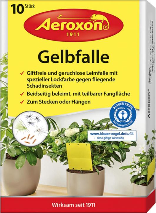 Produktbild Aeroxon Gelbfalle für Topfpflanzen