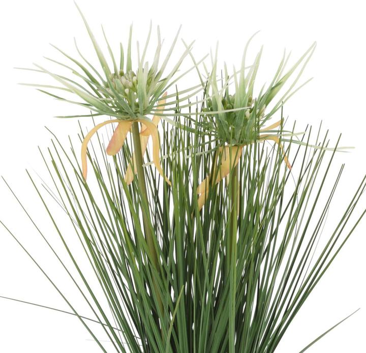 Immagine prodotto Casativo Erba decorativa in un vaso chic