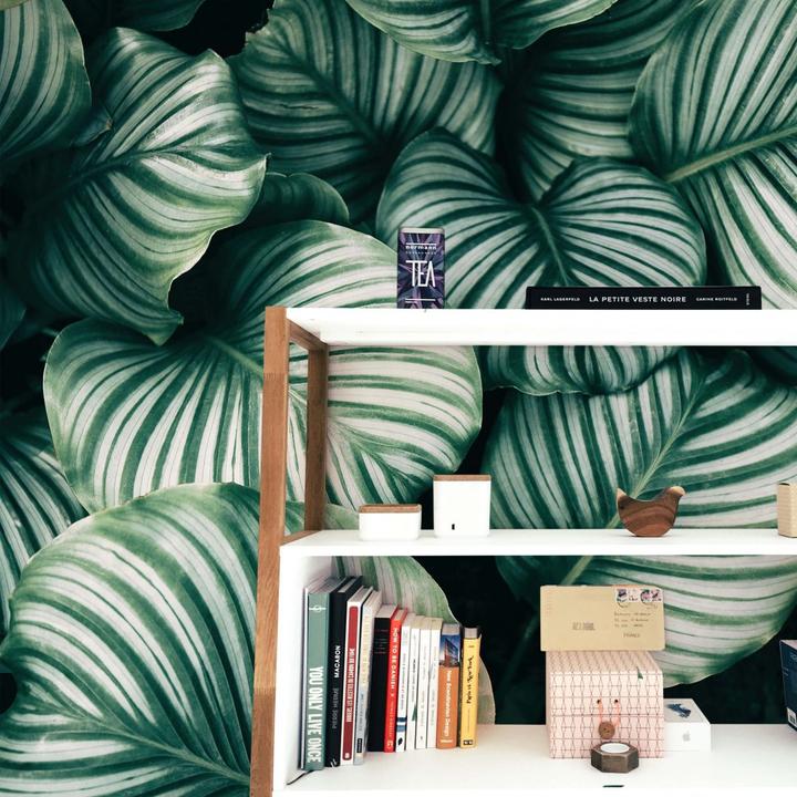 Image du produit Trenddeko Jungle urbaine - Calathea Orbifolia (144 x 260 cm)