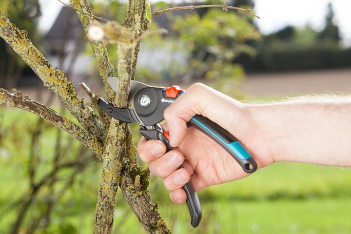 Actual product image Gardena Garden shears A/M