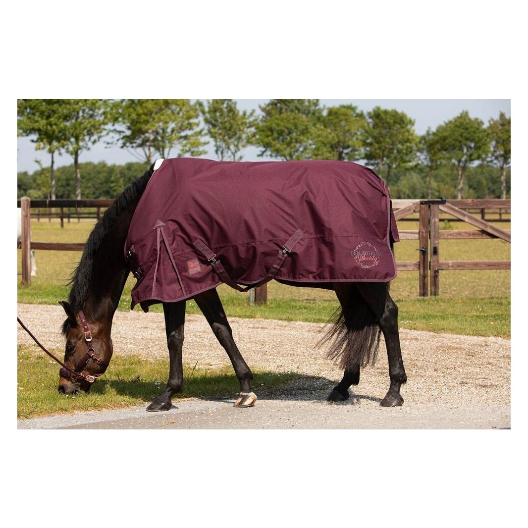 Harry's Horse, Pferdedecke