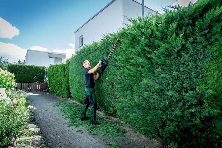 Actual product image Metabo HS 18 LTX BL 65 (Cordless hedgecutters)