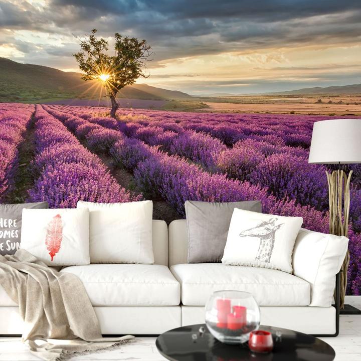 Image du produit Trenddeko Fleur de lavande en Provence (384 x 260 cm)