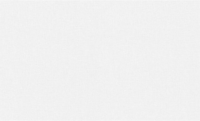 Immagine prodotto Architects Paper Pigmento ECO Bianco, verniciabile 11 (106 x 2500 cm)