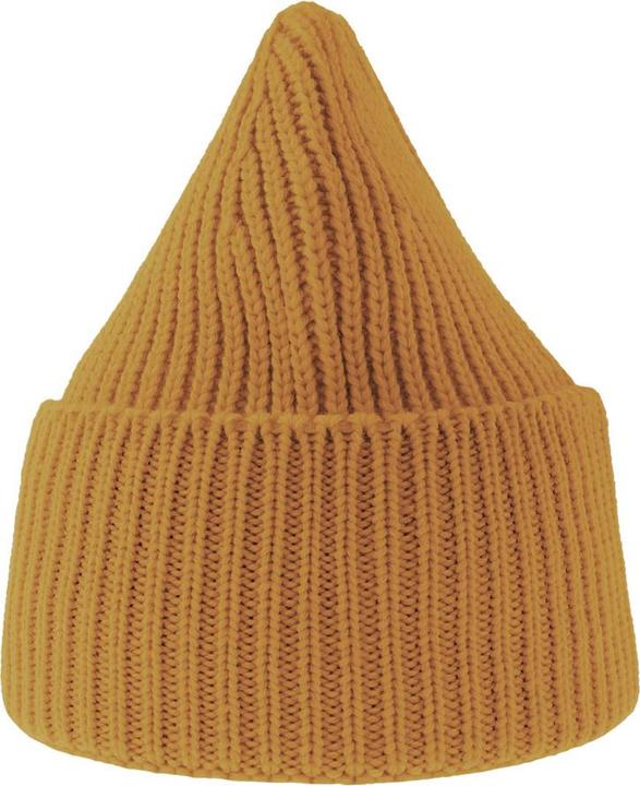 Image du produit Atlantis Headwear - Bonnet OAK (Taille unique)