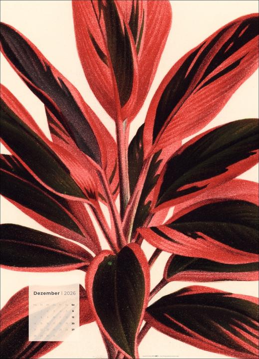 Produktbild Botanicals Kalender 2026 (49 x 68 cm)