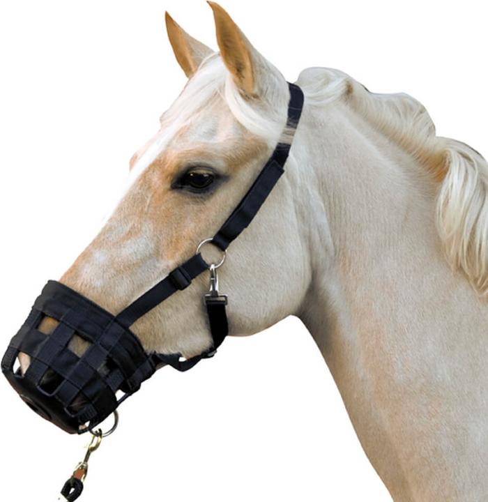 HKM Fresshemmer Mit Halfter