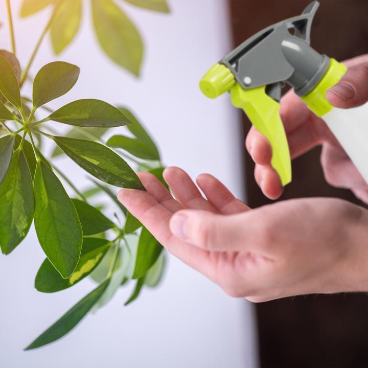 Actual product image Relaxdays Spray bottle (1 l)