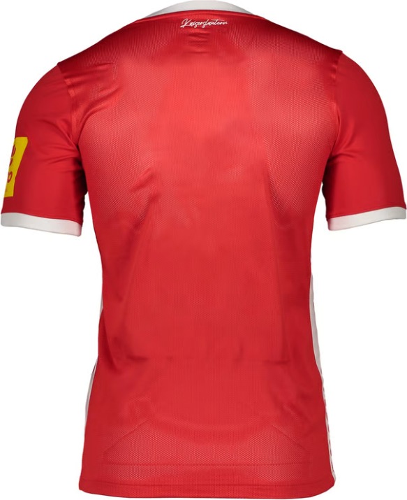 Actual product image Nike 1. FC Kaiserslautern Jersey (S)
