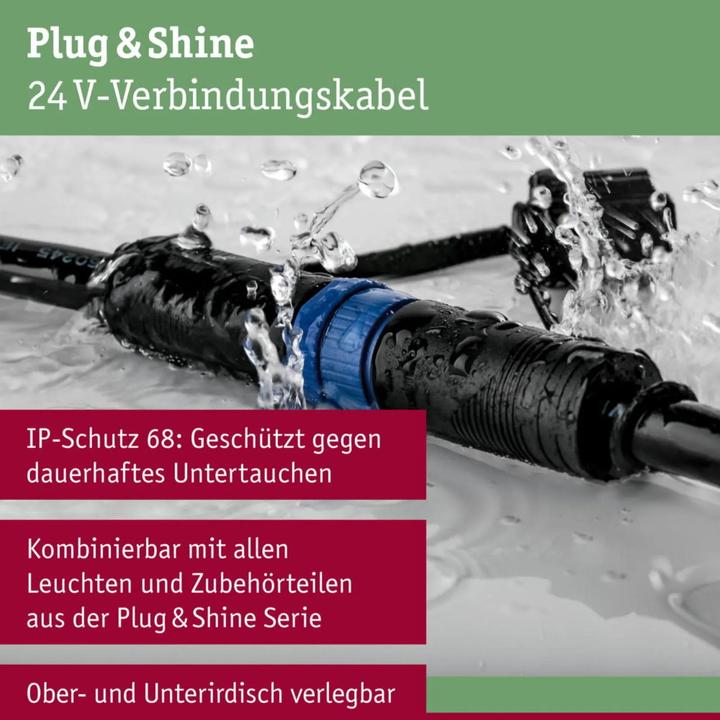 Actual product image Paulmann Plug & Shine distributor