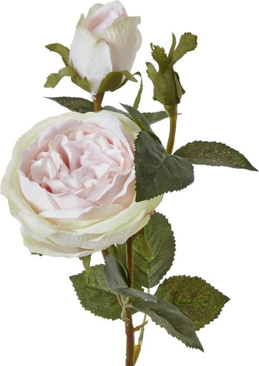 Immagine prodotto Hill Interiors The Natural Garden Collection Rosa Fiore Artificiale (58 cm)