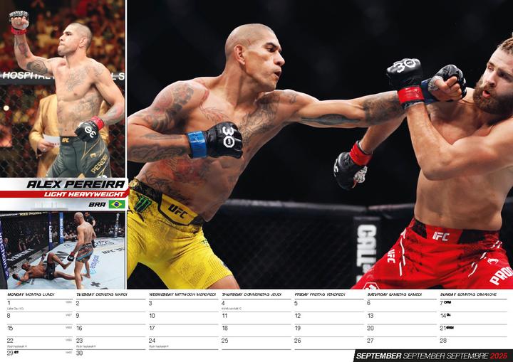 Actual product image MMA Calendar 2025 (42 x 30 cm, German)