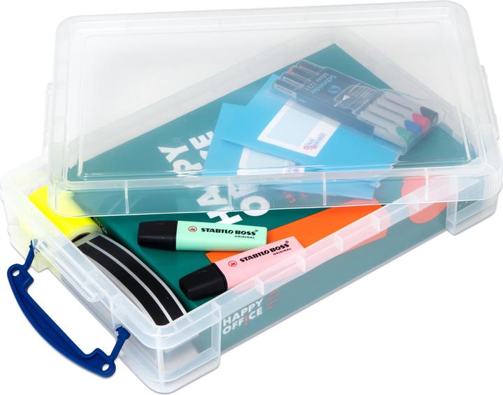 Actual product image Box Storage 4 l (39.5 x 25.5 x 9 cm, 4 l)