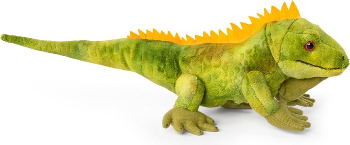 Image du produit Living Nature Iguane