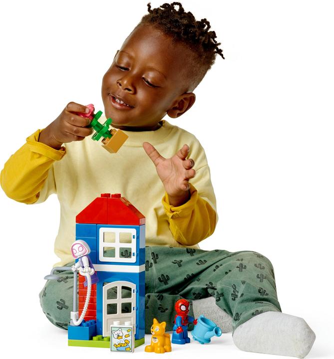 Actual product image LEGO Spider-Man's House (10995)