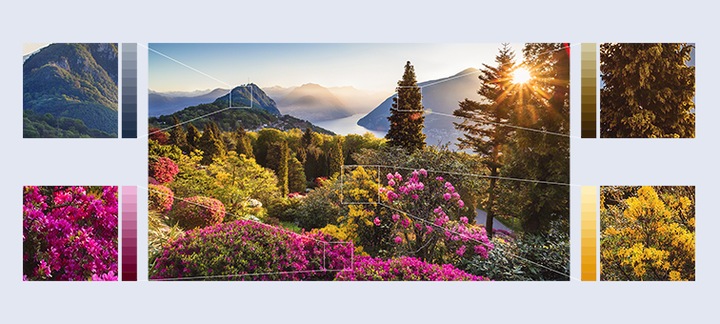 Image du produit Sony KD49XG8305 (49", LCD, 4K, 2019)