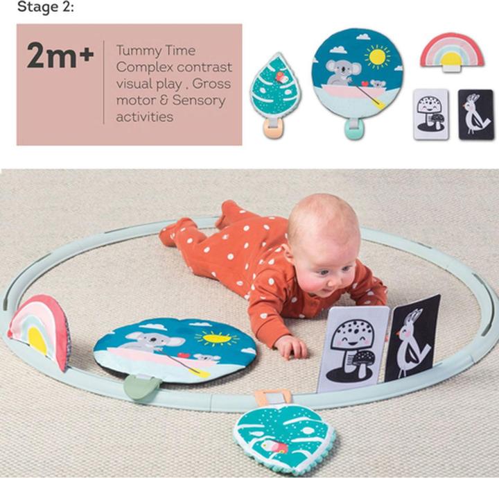 Actual product image Taf Toys Activities Hoop All Around Me