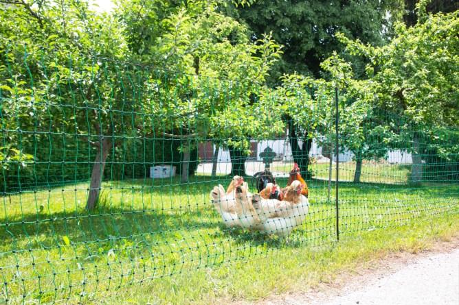 Produktbild Kerbl PoultryNet