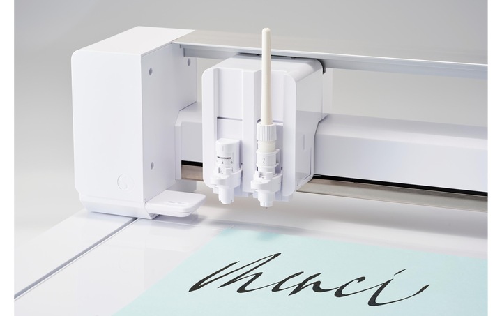 Actual product image Silhouette Curio 2