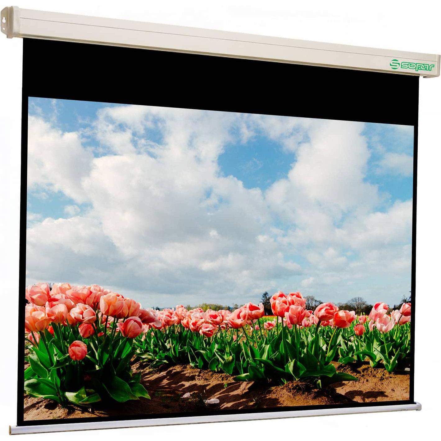 Sopar Platinum, Manueller Projektorschirm, 3,66 m (144 (144", 4:3), Schermo di proiezione, Multicolore, Bianco, Nero