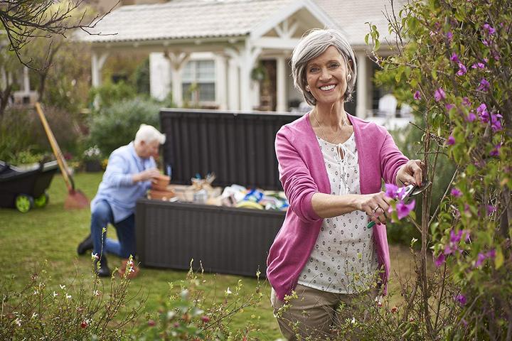 Actual product image Keter Sumatra