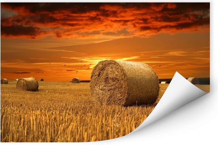 Image du produit Trenddeko Balle de paille (100 x 70 cm)