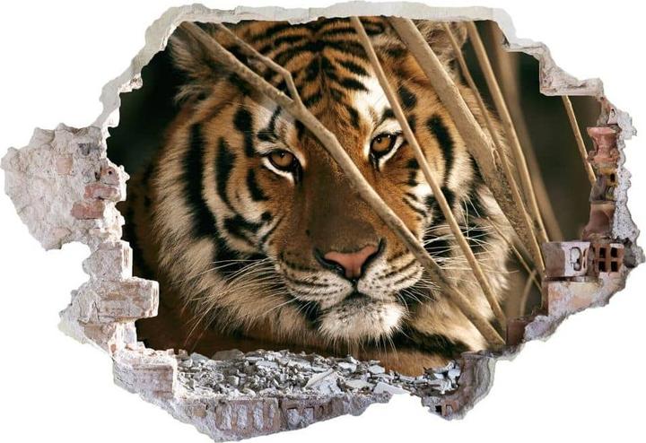 Immagine prodotto Trenddeko 3D tigre del National Geographic (120 x 82 cm)
